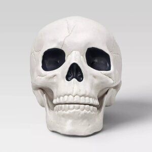 Hyde & EEK! 6" Skull Halloween Decoration – Realistic Spooky Prop for In/outdoor